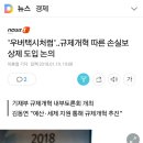 우버택시처럼'..규제개혁 따른 손실보상제 도입 논의 이미지