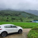 정선영농장 이미지