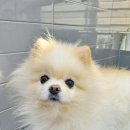 나무쉼터 동물병원 이미지