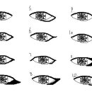 아이라인종류ㅋㅋㅋㅋㅋㅋㅋ 이미지