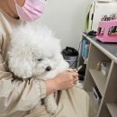 오늘도 아름답개 이미지