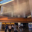 생활속미술이야기 | 신라호텔 이색 미술전시 언노운바이브 아트페어 더 블룸2026 후기