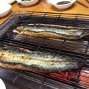 섬진강민물장어 이미지