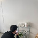 WR(대구광역시 중구)-63[공평로]-하-8 | 우린 아름다운 지뢰밭에 갇혀 있는 거야