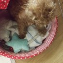 이룸정비 이미지