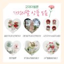 굿데이벌룬