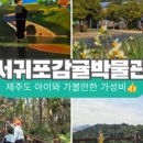 감귤박물관 위 이미지