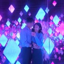 제주 서쪽 여행지 아르떼뮤지엄 방문후기(입장료 할인방법 관람팁 소요시간)
