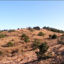 하천리-14 이미지