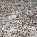 하늘장묘 - 전주시 완산구 중산중앙로 21 | 하늘장묘