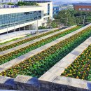 옥상조각 이미지