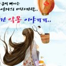 ★여자 대머리 가 늘고 있다. 원인과 해결책은★ 이미지