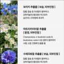 바른피부 - 정읍시 | 50대 네리티아 선세럼 쿠션 바른 후 피부 컨디션 좋아지고 있는 실사용 후기