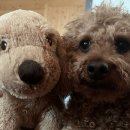 리멤버파크 이미지