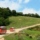 새삼목장 이미지