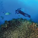 이삭안경 이미지