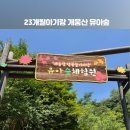 개웅산 유아숲체험원 이미지