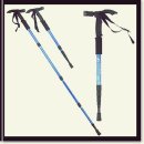 I.B 소프트 이미지