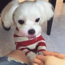 (주)씨지브이신도림 이미지