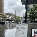 카페 NSW 이미지