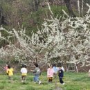 경희숲유치원 이미지