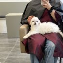 더예령헤어