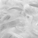 더그린세탁 이미지