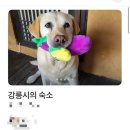 복돌네민박 이미지