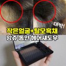 감쪽같이 이미지