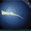 소문난내과의원 이미지