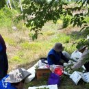 구포1동-6 이미지