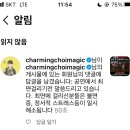 톱으로 나무를 캐면