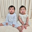 여름 유아내복 추천! 쌍둥이도 만족한 엔젤앤비 슈크림내복 솔직후기💛