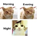 나들가게 쌍둥이하이퍼 | 7월 당첨! 생일 당첨!☀️🏝️