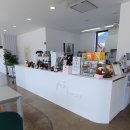 섬진강 솔밭이 보이는 풍경 | 전남 구례 : 홍매화 갈대밭 핑크뮬리 사계절 아름다운 사진작가명소 섬진강수달카페