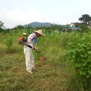 해오름 농장 이미지