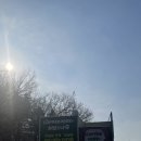 허브나무 이미지