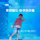 굿모닝모터스 | 2024년 8월 20240819 아이와 서울 가볼만한 곳 / 롯데월드 아쿠아리움