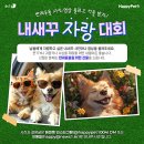 메디벳 주식회사 이미지