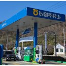 강릉원예농협주유소 이미지
