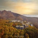 (주)삼정관광호텔 이미지