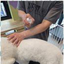 놀러왔댕 이미지