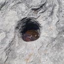 매음목장 이미지