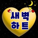 [하트총공] 24시 ~ 7시 하트 캡처 댓글 + 하트인증 게시판에 인증글도 올려주세요 ❤️❤️ 이미지