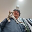 부농원 이미지