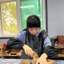 사회적협동조합담쟁이 이미지