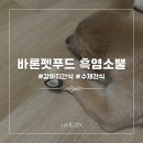 바론펫푸드 | 강아지 수제간식 흑염소뿔 내돈내산 후기