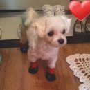 김지영복싱GYM 이미지