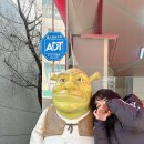 어수정국수집 이미지