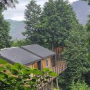 편백자연휴양림 이미지